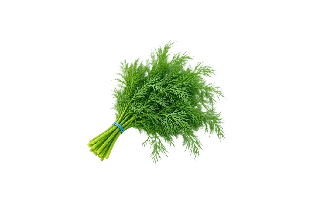 Dill Baby /ea