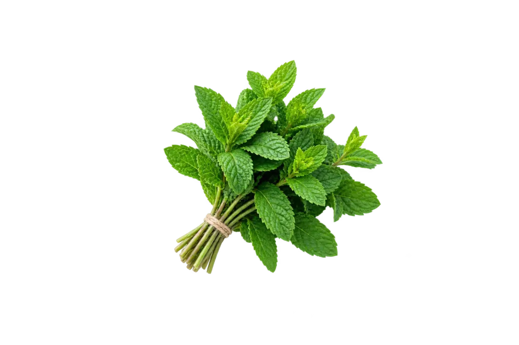 Mint /ea