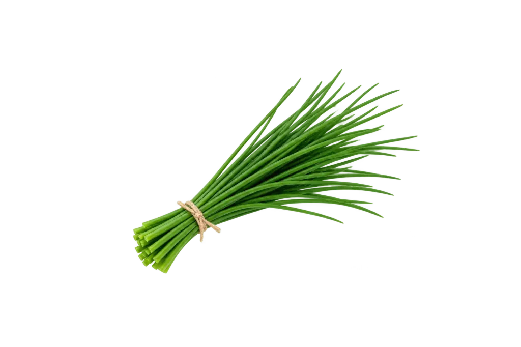 Chives-Tareh  /ea