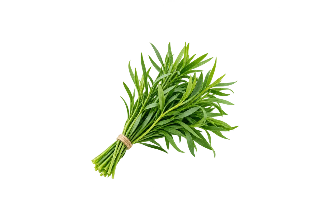Tarragon-Tarkhon /ea